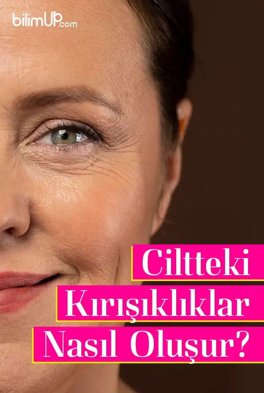 Ciltte İnce Çizgiler ve Kırışıklıkların Nedenleri ve Nemlendirme Yöntemleri
