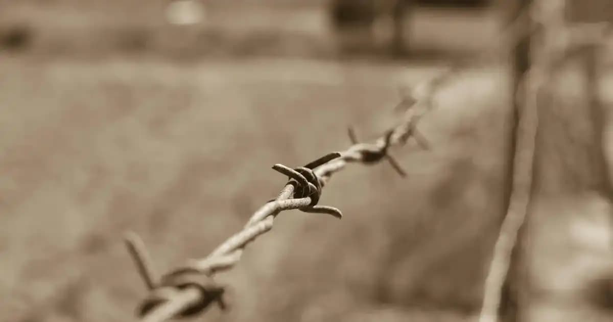 9.2 Saç Boyası Özellikleri ve Kullanım İpuçları ile Güzel ve Sağlıklı Saçlar