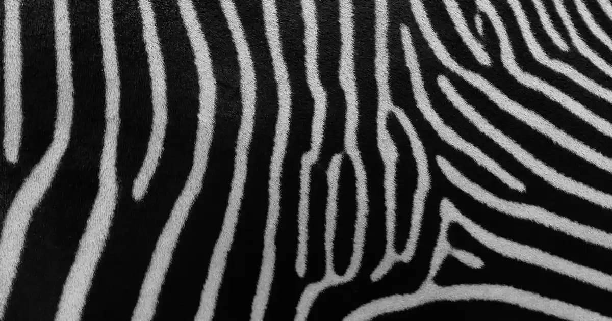 9 Oksidan Nedir Saç Boyama ve Açma İşlemlerinde Kullanım Önemi