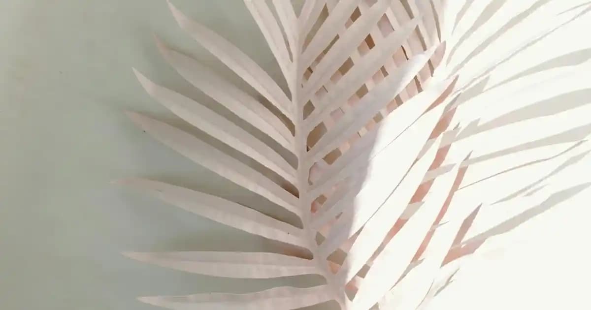 A101 BB Krem: Uygun Fiyatlı ve Çok Yönlü Cilt Bakım ve Makyaj Ürünü