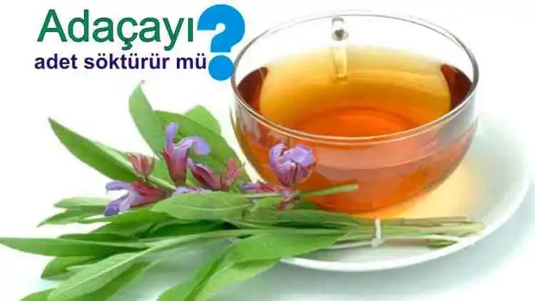 Adaçayının Regl Ağrılarına Etkisi ve Doğal Kullanım Yöntemleri Hakkında Kapsamlı Bilgi