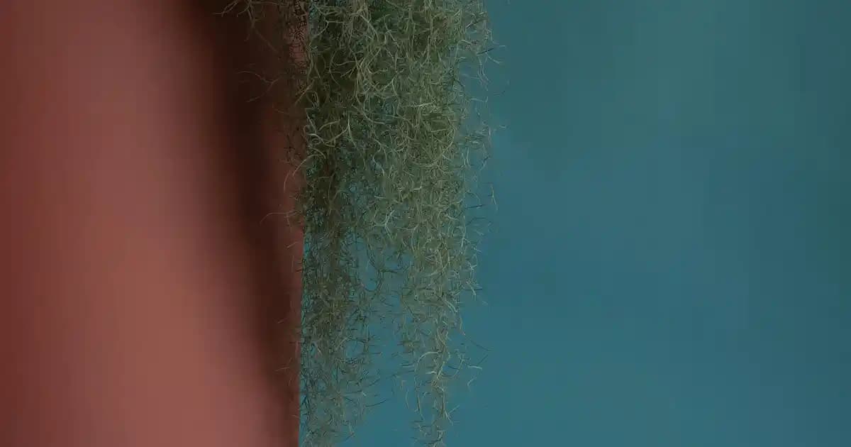 Adet Getiren Bitkiler ve Doğal Güzellikteki Rolü Hakkında Kapsamlı Bilgi