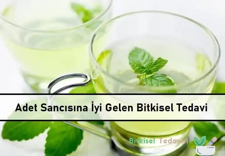 Adet Sancısına İyi Gelen Bitkiler ve Doğal Rahatlatıcı Çözümler