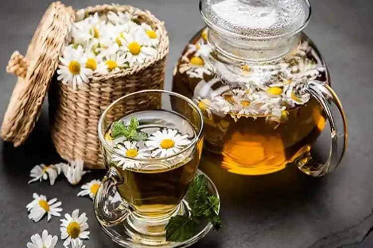 Adetliyken Papatya Çayı İçmek: Faydalar ve Uzman Tavsiyeleri