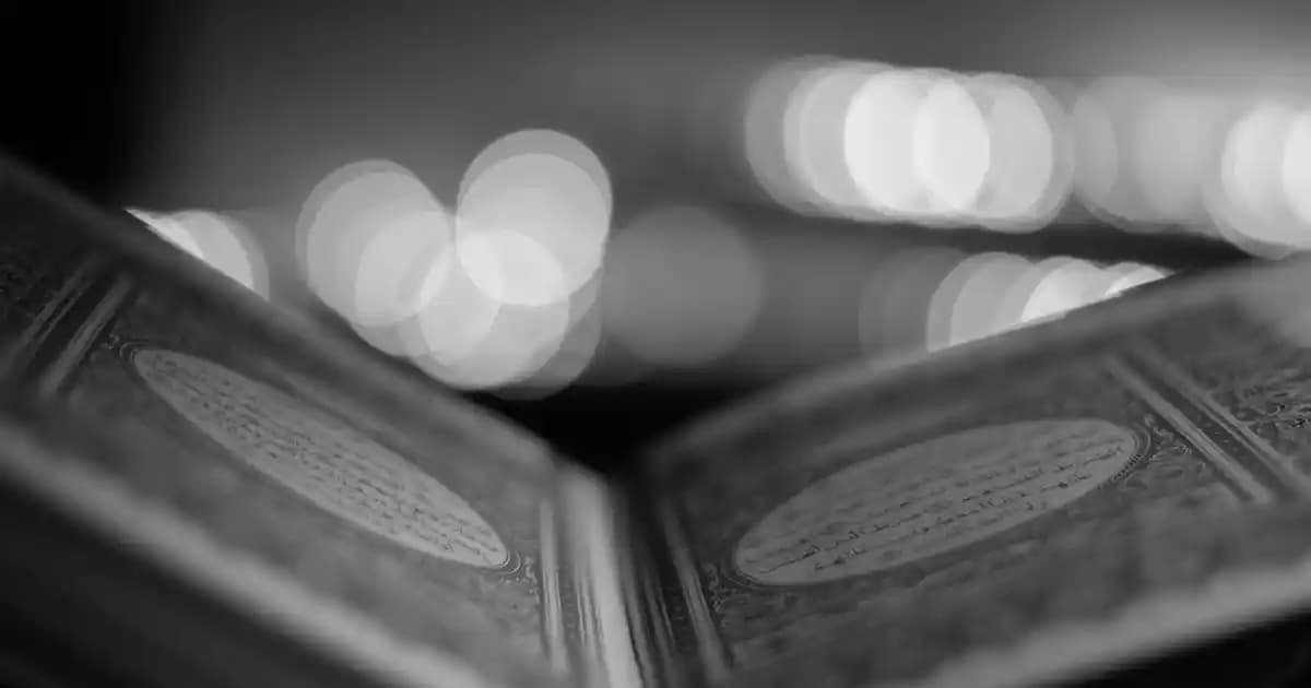 Asit Borik Tozunun Ayak Kokusu Üzerindeki Etkisi ve Uygulama Yöntemleri