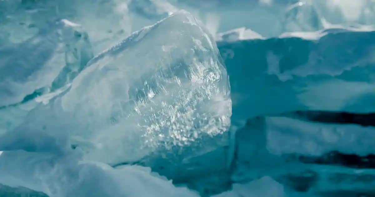 Bebek Yağının Yüze Faydaları ve Doğal Cilt Bakımında Kullanım İpuçları