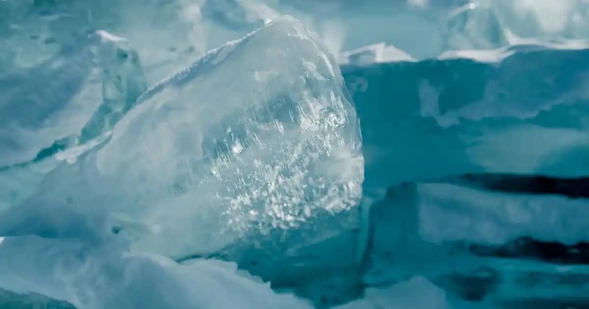 Bebek Yağının Yüze Faydaları ve Doğal Cilt Bakımında Kullanım İpuçları