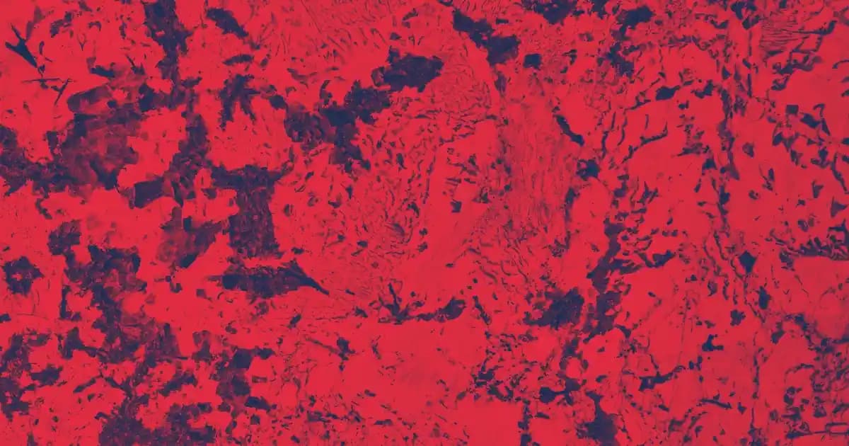 Bikini Bölgesi Kararması Nedenleri ve Etkili Giderme Yöntemleri