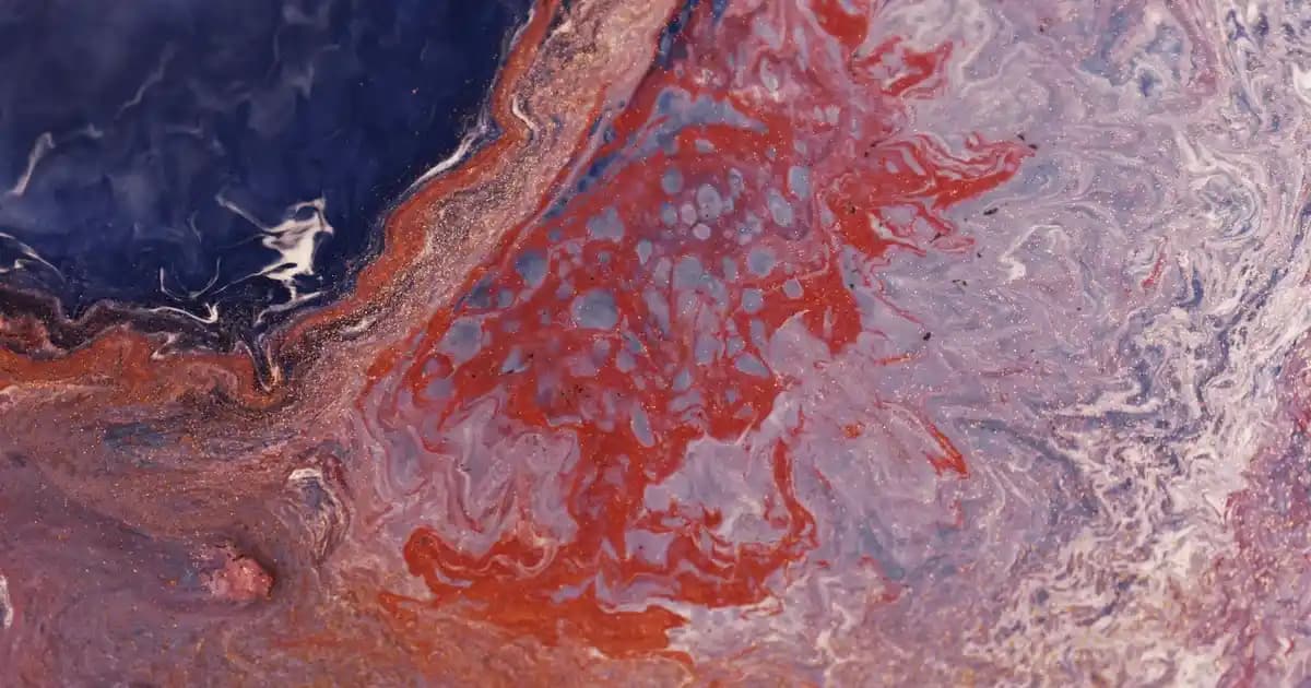 Bim Elidor Şampuanı: Ekonomik ve Güvenilir Saç Temizliği Seçeneği