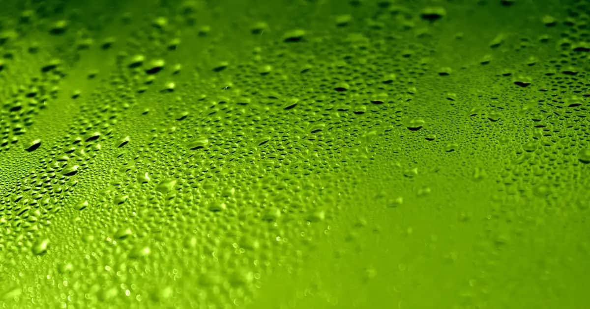 Burun Üstündeki Genişlemiş Gözenekleri Azaltmanın Etkili Yolları ve Cilt Bakımı İpuçları