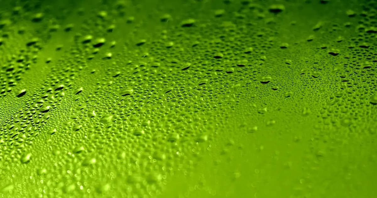 Burun Üstündeki Genişlemiş Gözenekleri Azaltmanın Etkili Yolları ve Cilt Bakımı İpuçları