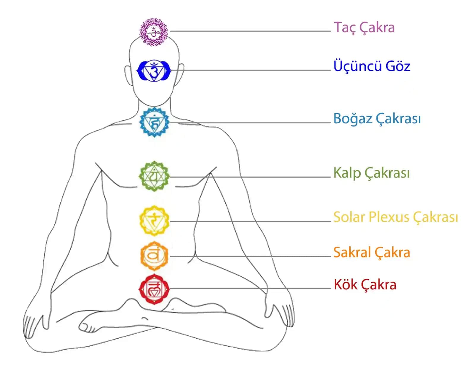 Çakralar ve Güzellik: İçsel Dengenin Kozmetikteki Yansıması ve Modern Uygulamaları