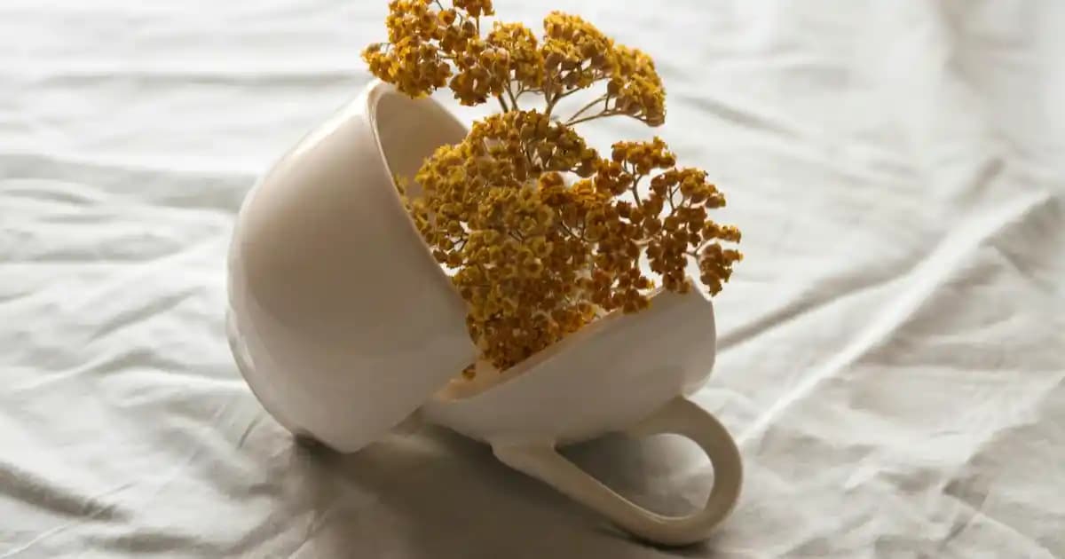 Çay Ağacı Yağı ve Mantar: Kozmetik Sektöründe Doğal Güç ve Uygulama Yöntemleri