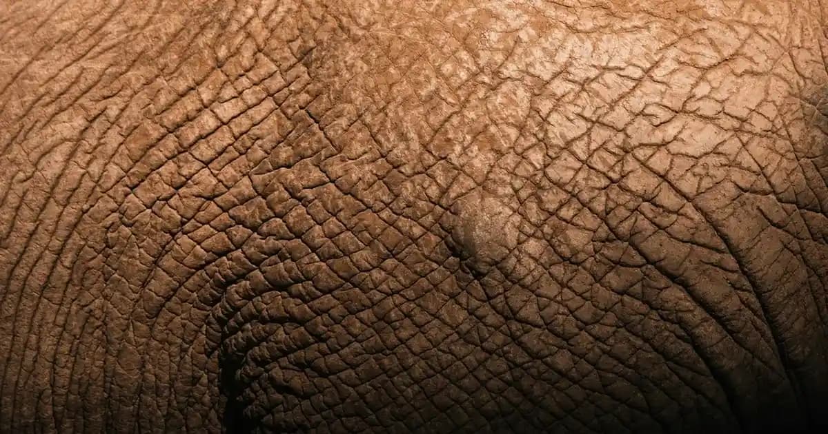 Cilt Güzelliğinde Işıltı İçin Beyazlatıcı Kremler ve Kullanım Rehberi