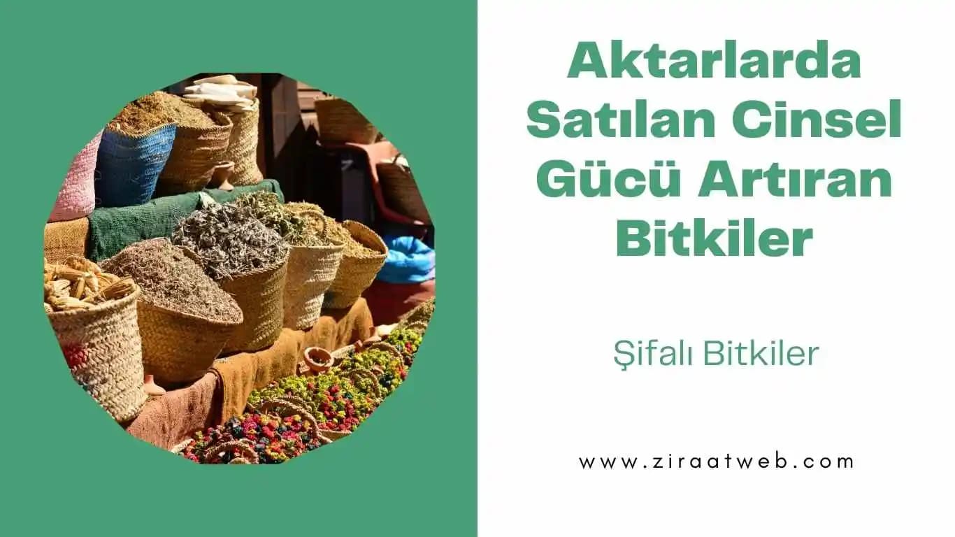 Cinsel Gücü Artıran Jellerin Doğru Kullanımı ve Güvenli Tercih İpuçları