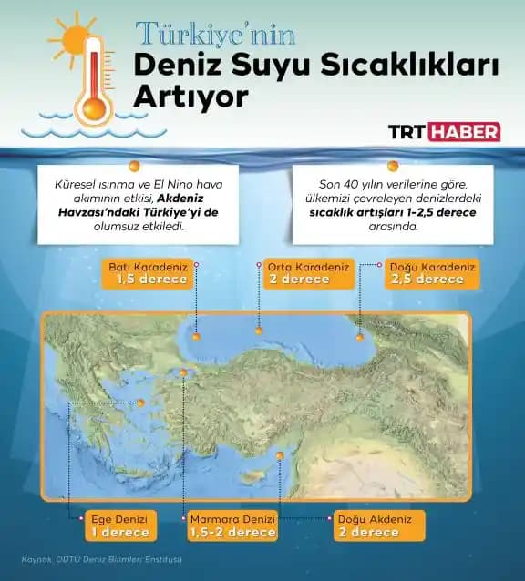 Deniz Suyu ve Cilt Sağlığı: Sivilcelerle Mücadelede Doğal Bir Alternatif