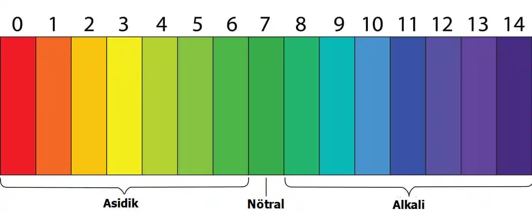Deri pH Değeri ve Cilt Sağlığı: Kozmetik Ürünlerde pH Dengesinin Önemi
