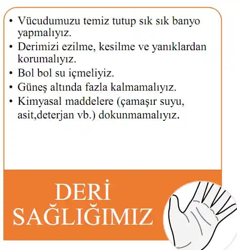 Deri Sağlığını Koruma Yöntemleri ve Güncel Bakım Tavsiyeleri