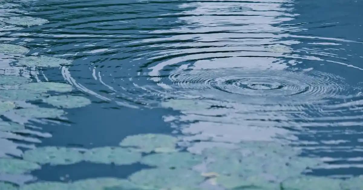 Dermaction by Watsons Güneş Kremi: Günlük Cilt Koruma ve Güçlü UV Filtresi Özellikleri