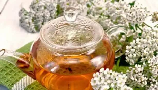 Doğal Yöntemlerle Regl Düzenleyici Çaylar Kadın Sağlığı ve Hormon Dengeleyici Çözümler