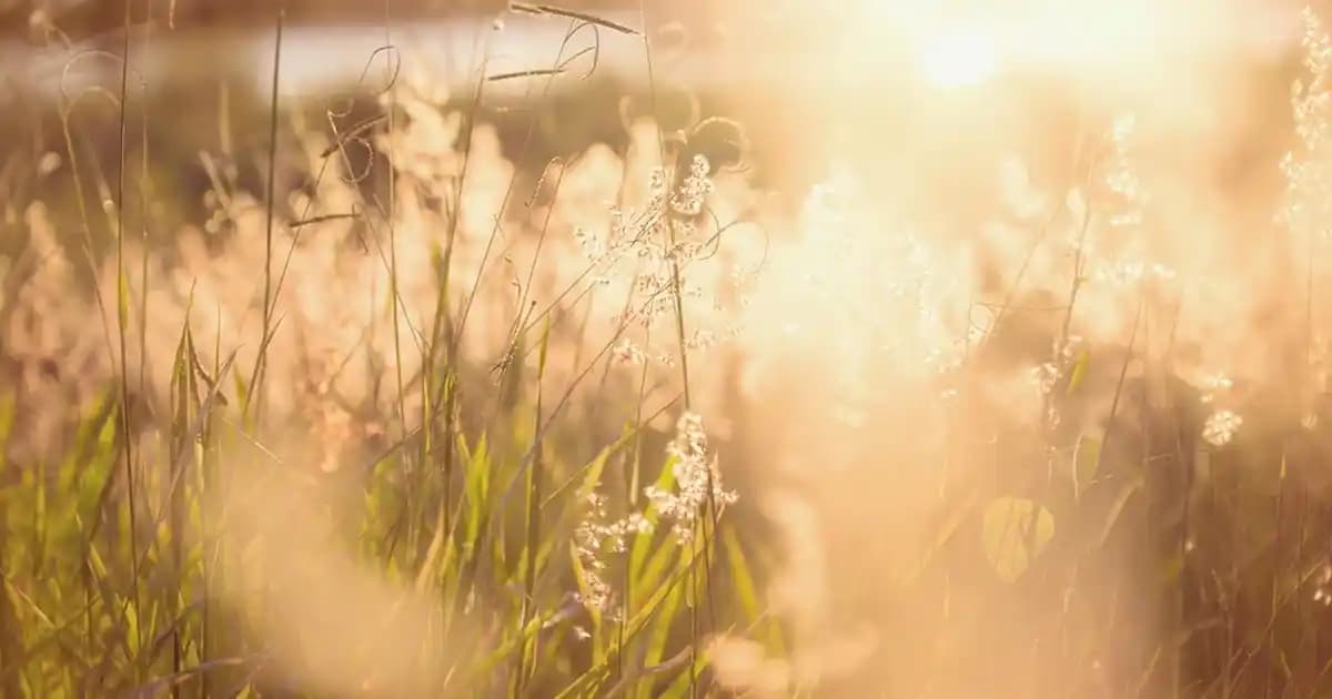 Dudaklarda Kızarıklık Nedenleri ve Etkili Bakım Yöntemleri Hakkında Bilgi