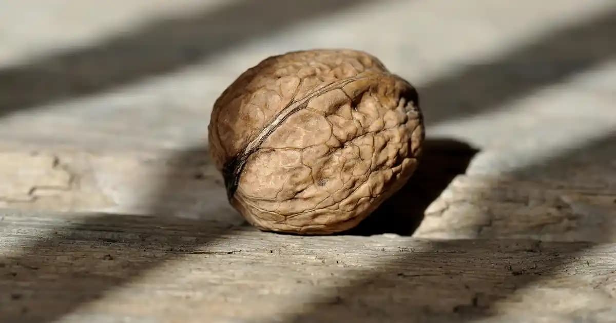 El Kesikleri İçin Doğru Bakım ve İyileşme Yöntemleri Hakkında Bilgi