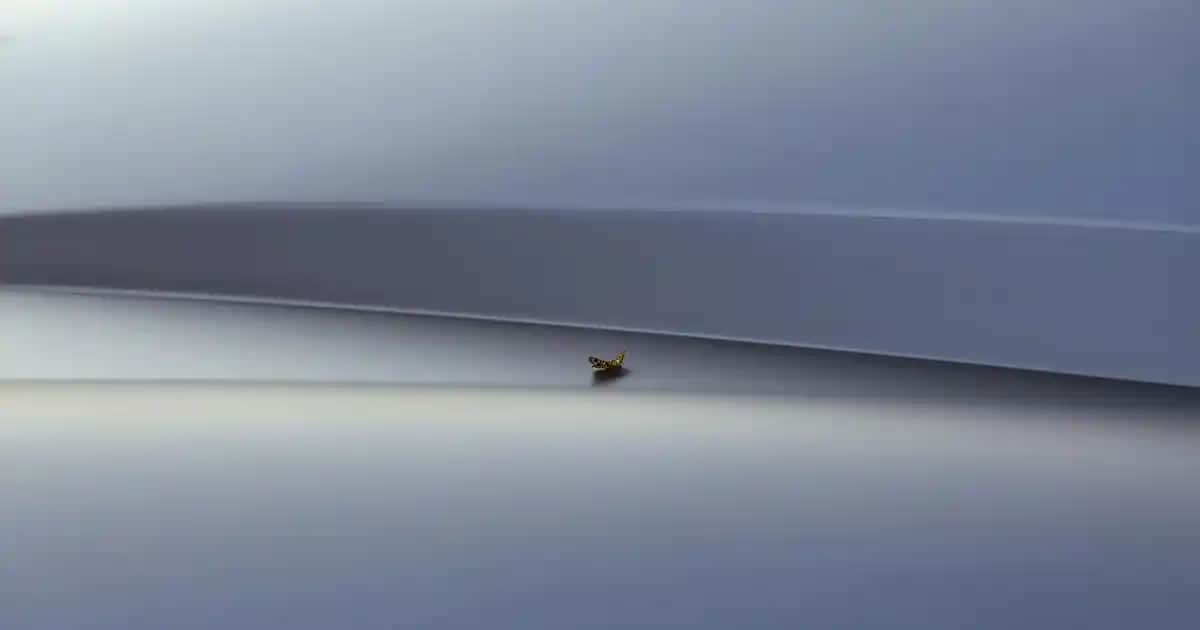 En İyi Çocuk Bezi Seçimi: Bebek Sağlığı ve Konforu İçin Bilmeniz Gerekenler