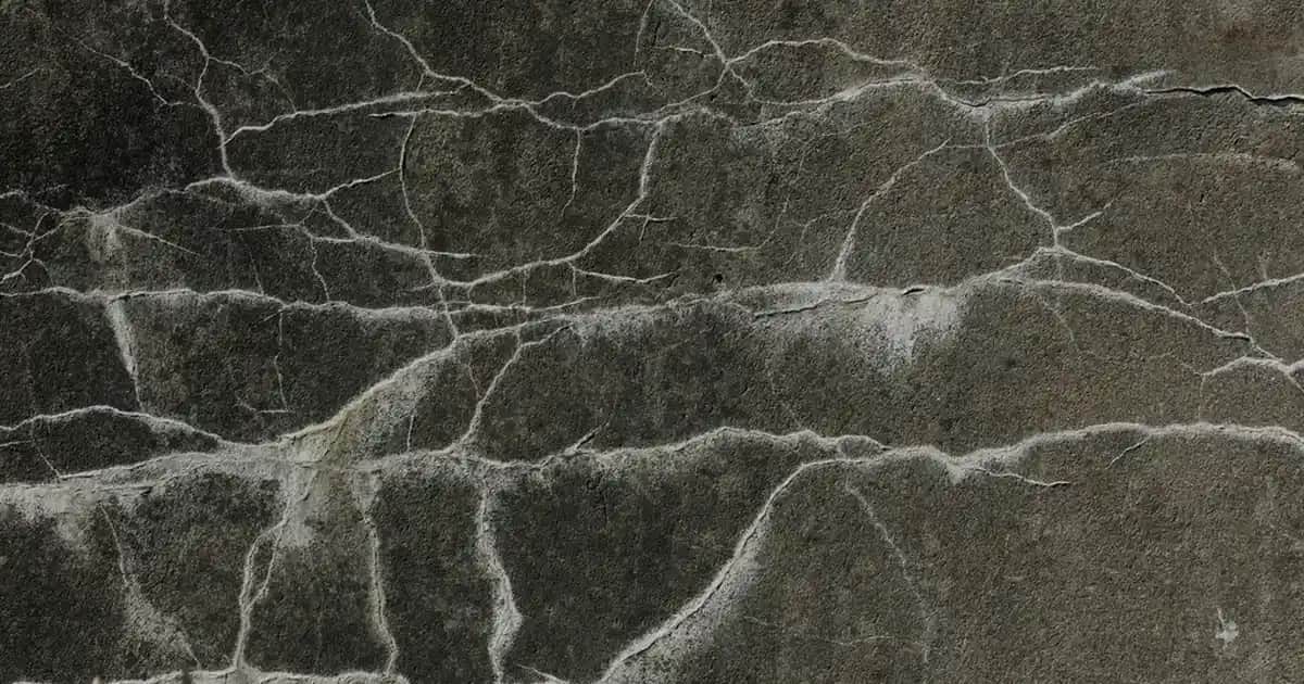 Essent Kozmetik: Doğal İçeriklerle Güvenilir ve Yenilikçi Kozmetik Ürünleri