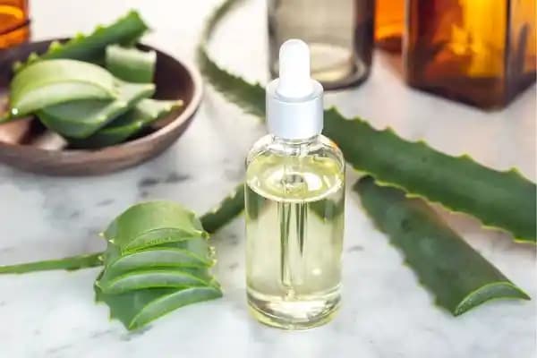 Evde Kaşıntıya Karşı Doğal ve Güvenli Çözüm Yöntemleri Hakkında Bilgilendirici Rehber