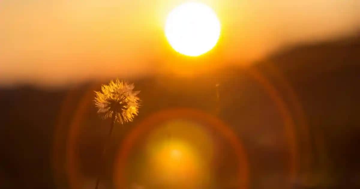 Evde Saç Açıcı Kullanımı ve Güvenli Uygulama Rehberi