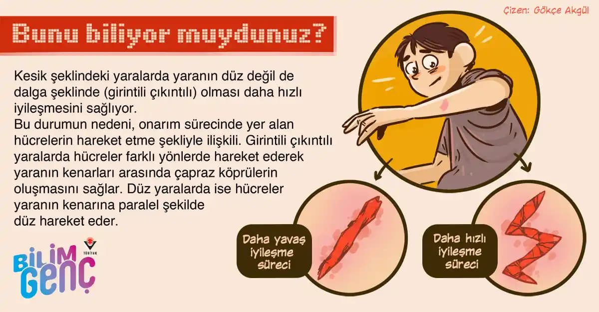 Geç İyileşen Yaraların Nedenleri ve Kozmetik Bakımın Rolü