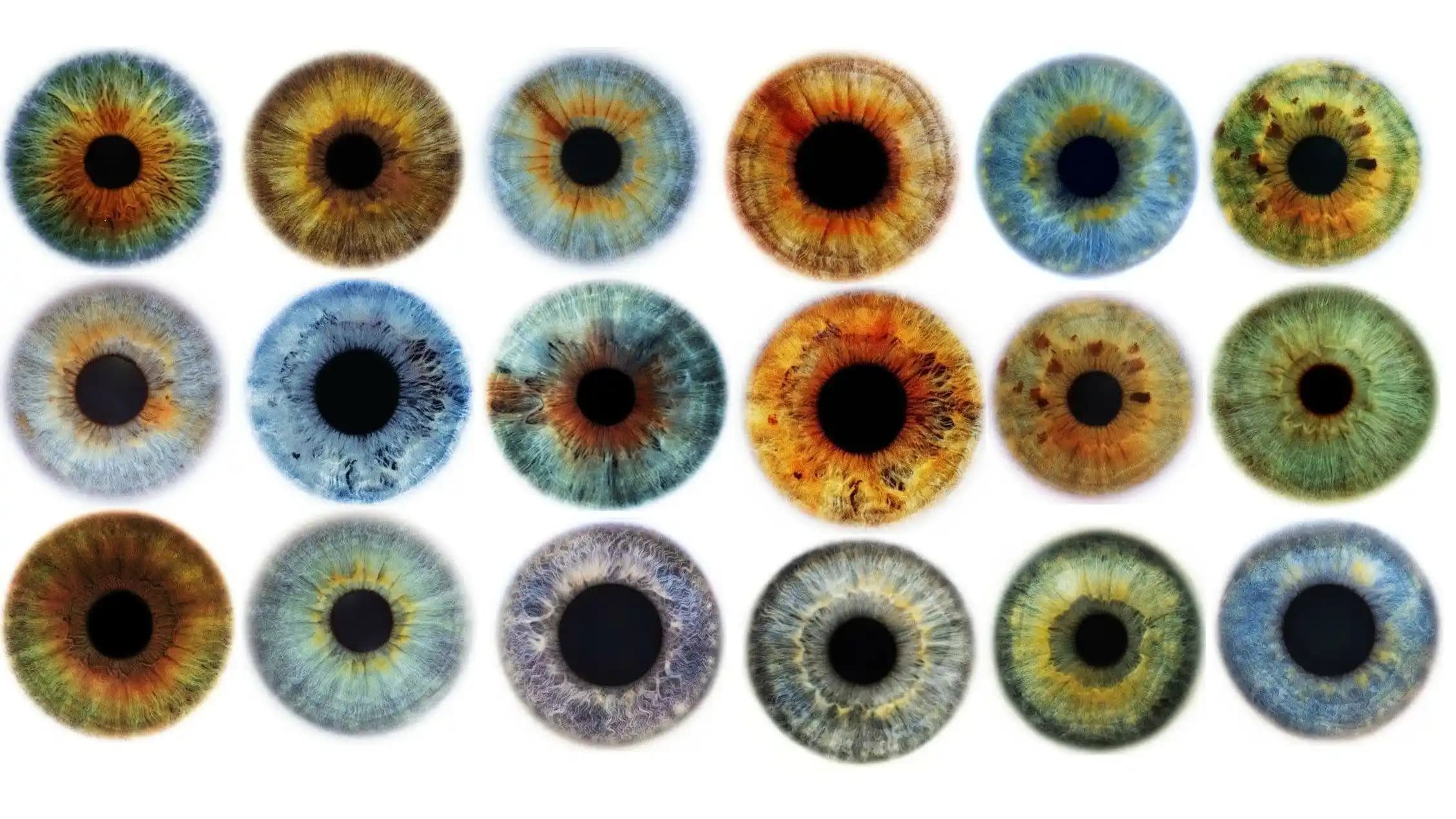 Göz Renkleri Çeşitleri ve Gözlerin Büyüleyici Dünyası Hakkında Detaylı Bilgiler