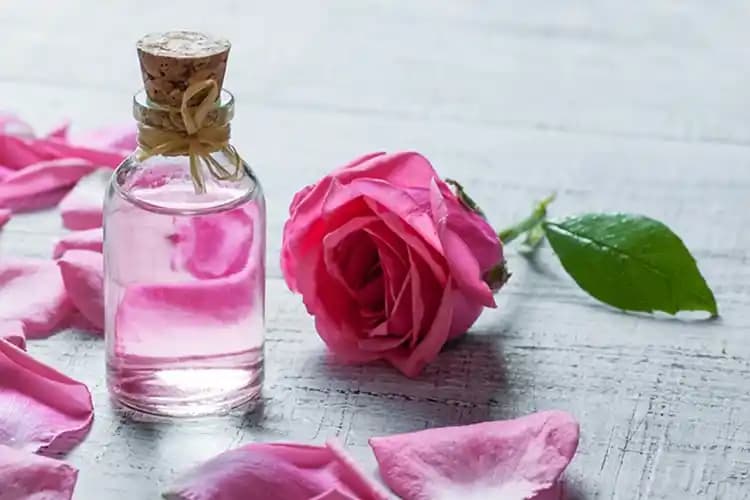 Gül Mayası ve Gül Suyunun Farkları ve Cilt Bakımındaki Kullanım İpuçları