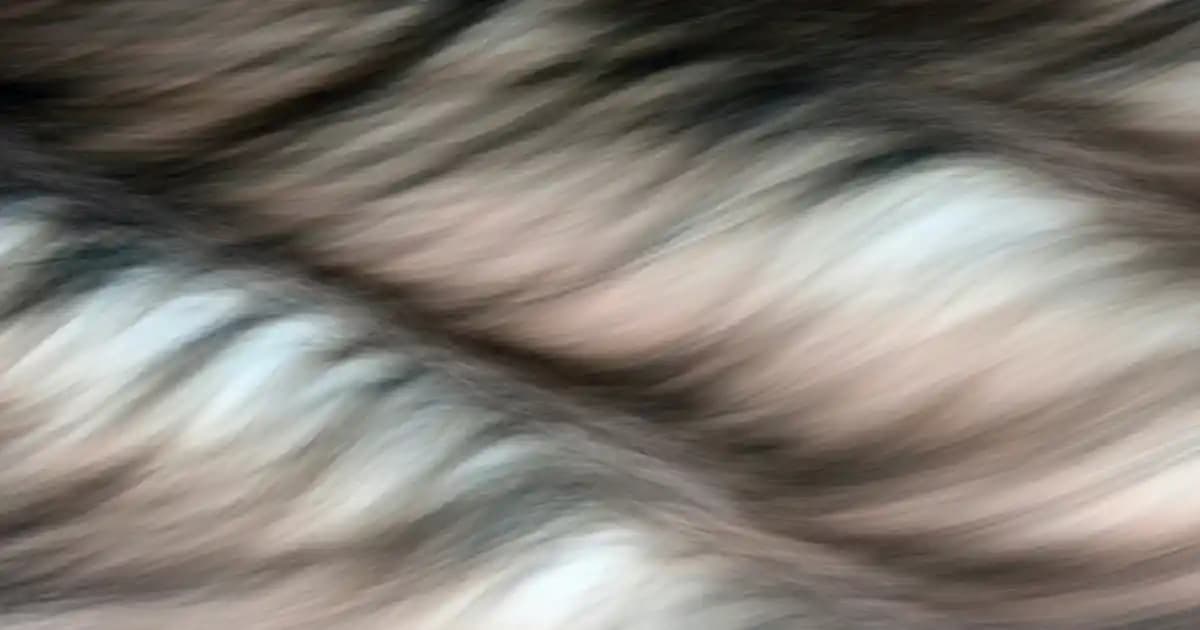 Gümüş Rengi Saç Trendleri ve Bakım İpuçları Modern Stil İçin Rehber