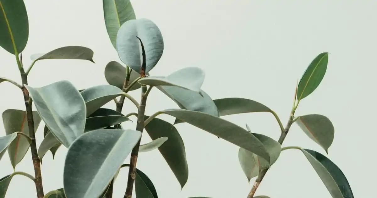 Güzelleşmek İçin En Etkili Yöntemler ve Sağlıklı Yaşam Alışkanlıkları Rehberi