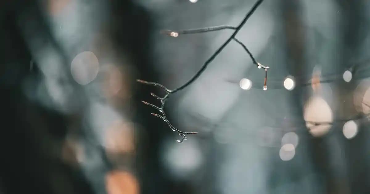 Hangi Kolajen Türleri Ne İşe Yarar ve Sağlık İçin Doğru Seçim Nasıl Yapılır