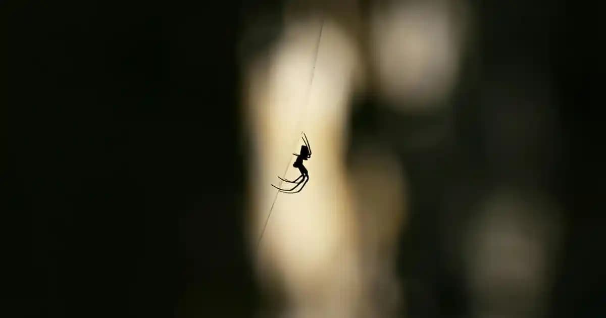 HelioCare Mineral Güneş Koruyucu Ürünleri: Doğal ve Güvenilir Koruma Seçenekleri