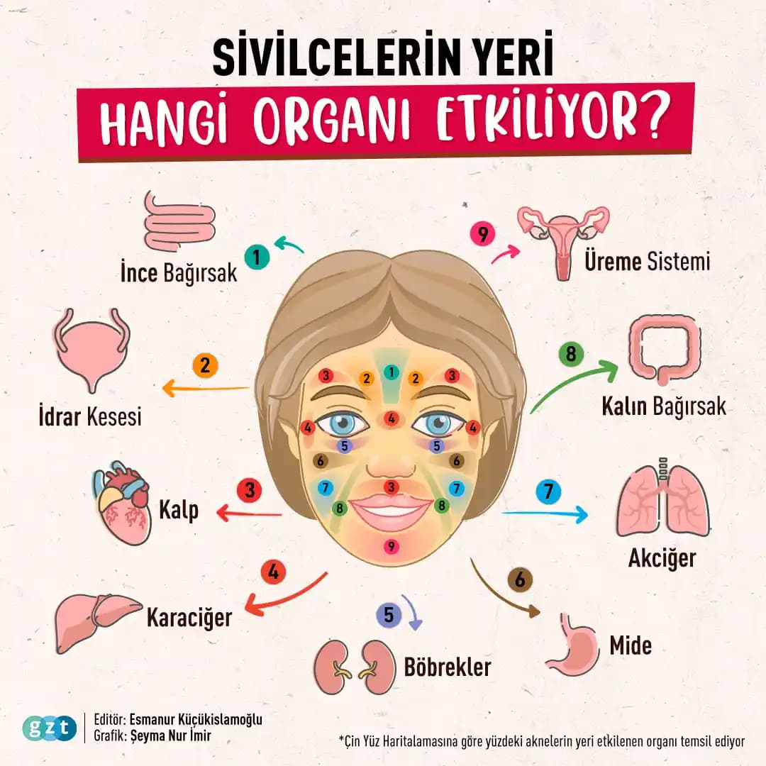 Hormonların Cilt Sağlığındaki Rolü ve Hormonal Sivilcelerle Başa Çıkma Yöntemleri
