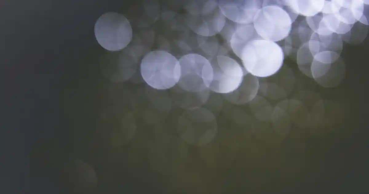 John Frieda Go Blonder Serisi ile Saçlarınızda Doğal Güneş Işığı Etkisi Yaratma Rehberi