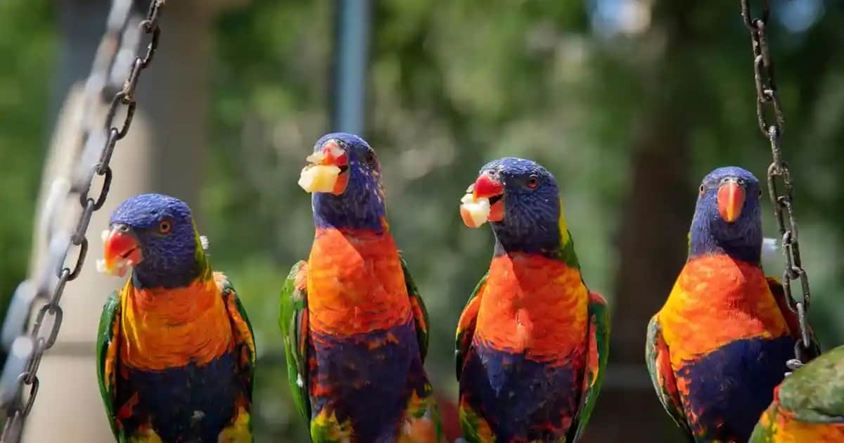 Kahve ve Doğal Şampuanlar ile Saç Sağlığını Güçlendirme Yöntemleri