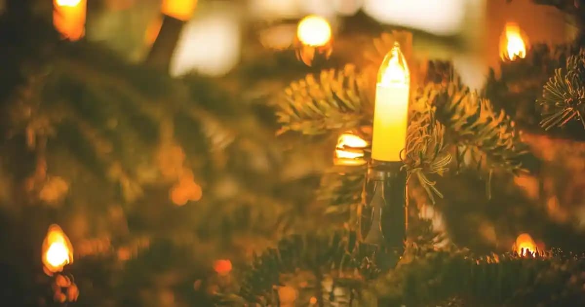 Karbon Maskesi Nedir? Cilt Sağlığı ve Güzelliği İçin Etkili Bir Yöntem