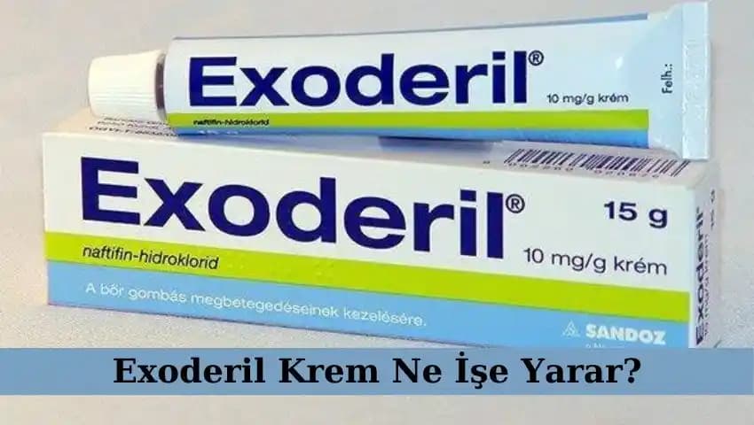 Kasık Mantarı İçin En Etkili Kremler ve Tedavi Yöntemleri Rehberi