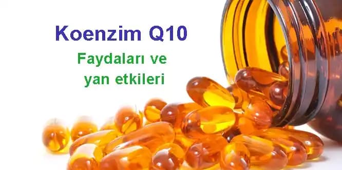 Koenzim Q10 ve Cilt Sağlığı: Doğal Destekle Genç ve Sağlıklı Bir Cilt İçin Bilmeniz Gerekenler