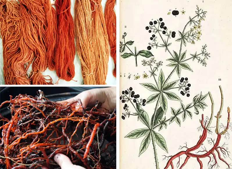 Kök Boyası Nedir ve Doğal Güzellik İçin Neden Tercih Edilmelidir