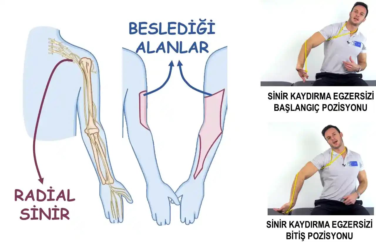 Kolda Batıklarını Anlamak ve Etkili Bakım Yöntemleri Hakkında Kapsamlı Rehber