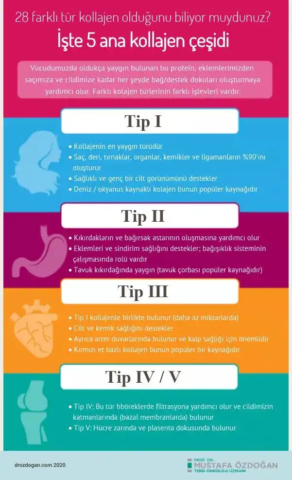 Kolojen Tipleri ve Güzellik ile Sağlıkta Rolü: Doğal Destek ve Bakım İpuçları