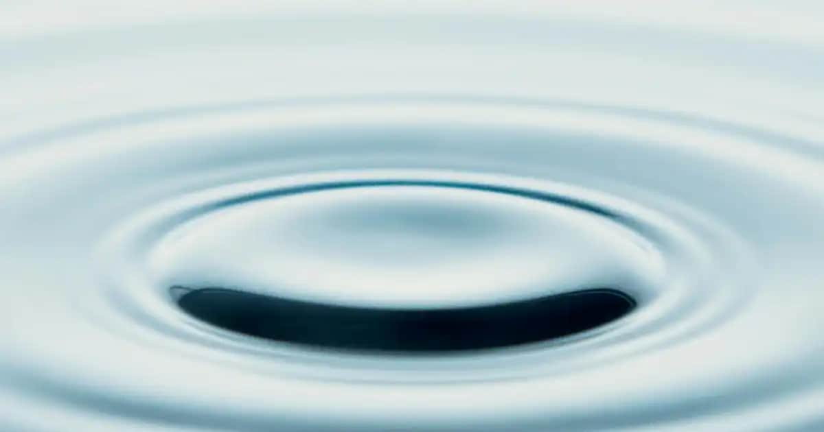 Kozmetik Sektöründe Teknolojik ve Doğal Yeniliklerle Gelişen Trendler ve Geleceğin Güzellik Yaklaşımları