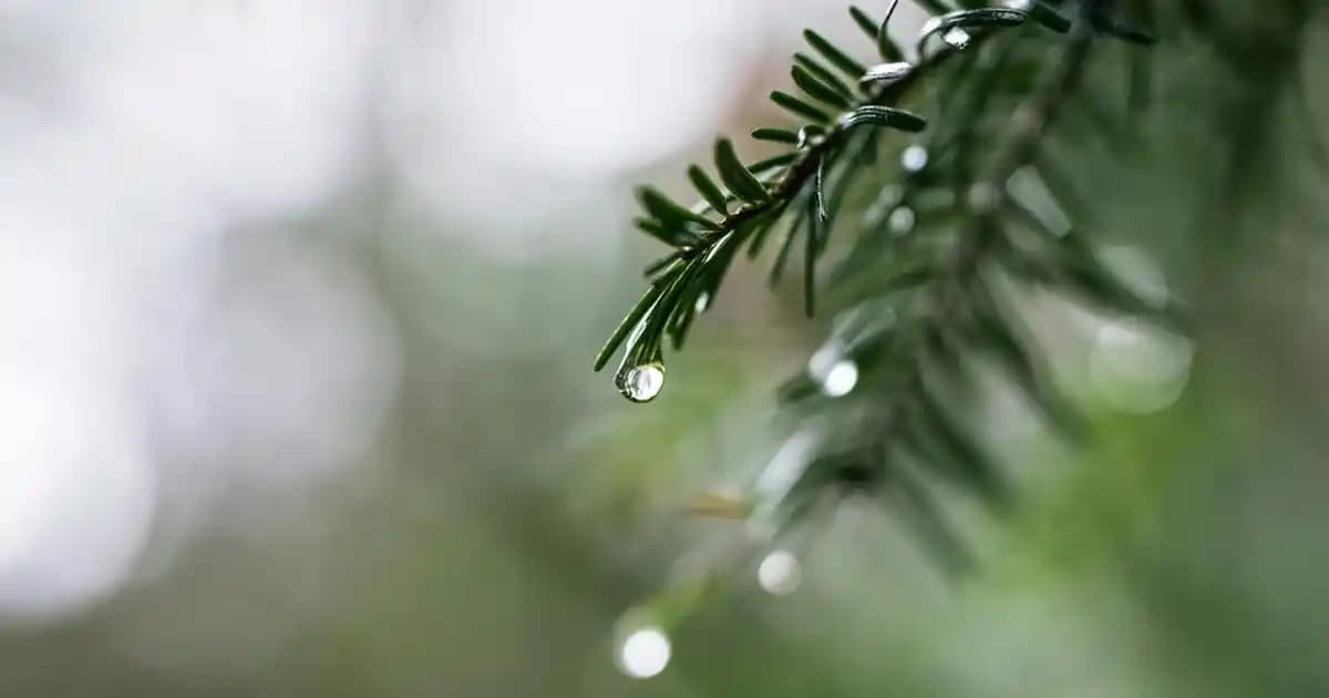 Küllü Kumral 7.1 Rengi: Saç ve Makyajda Modern ve Doğal Bir Seçenek