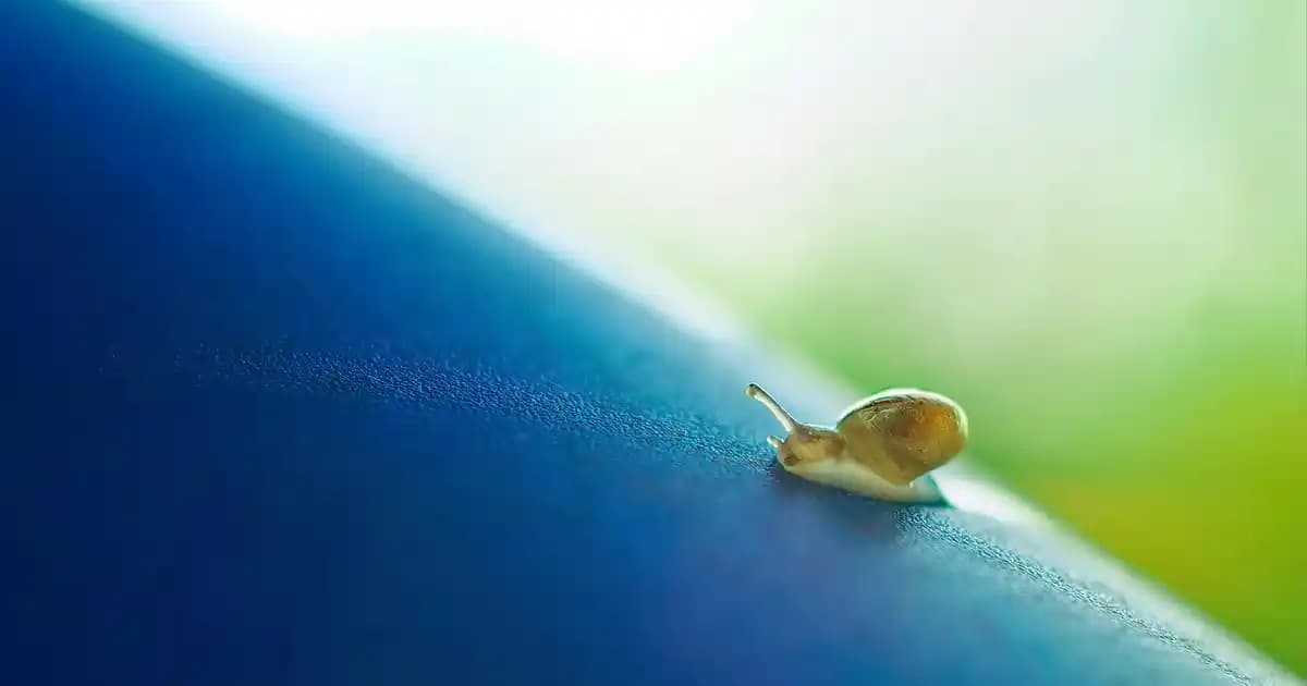 Mixup Saç Bakım Yağı: Doğal İçeriklerle Güçlendiren ve Parlaklık Sağlayan Ürün