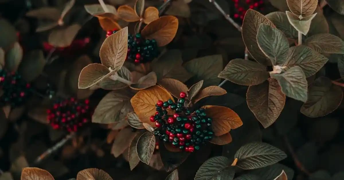 Nars Sıvı Allık ile Doğal ve Işıltılı Makyaj Yaratmanın En İyi Yolları